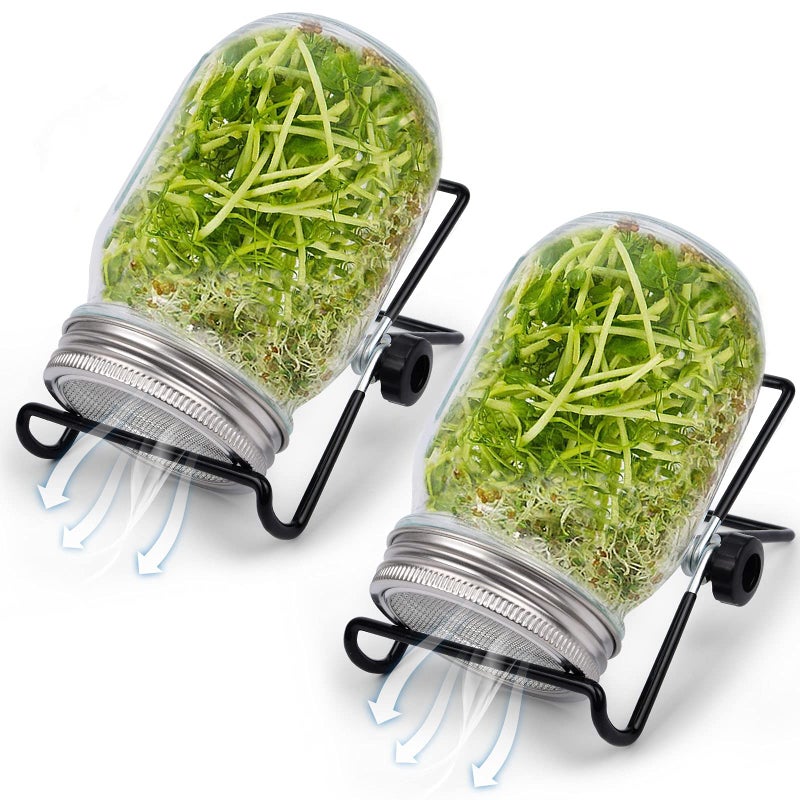 MORDEN MS Seed Sprouting Jar Broccoli Sprouts Growing Kit with Screen Lids Wide Mouth Mason Jars for Growing Broccoli Alfalfa Mung Bean Seed Germination Kit Indoor Sprouter Set 2 Pack