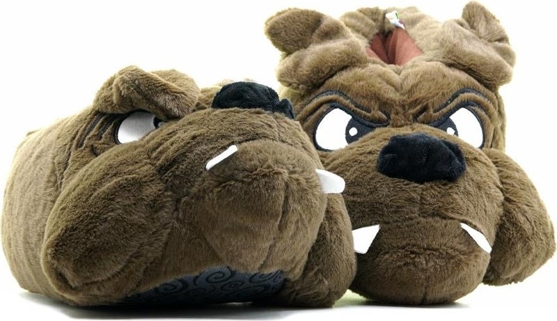 Cane Women's, Waiter Size Animal Slippers Brown 33/38 AA0616