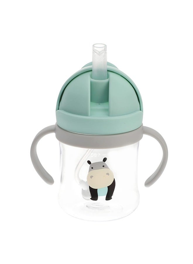 Baby Sippy Cup with Handle – PPSU Anti-Spill Straw Bottle with Weighted Straw, BPA-Free, Cartoon Design, Leak-Proof, for Infants & Toddlers (Green)  - Image 1