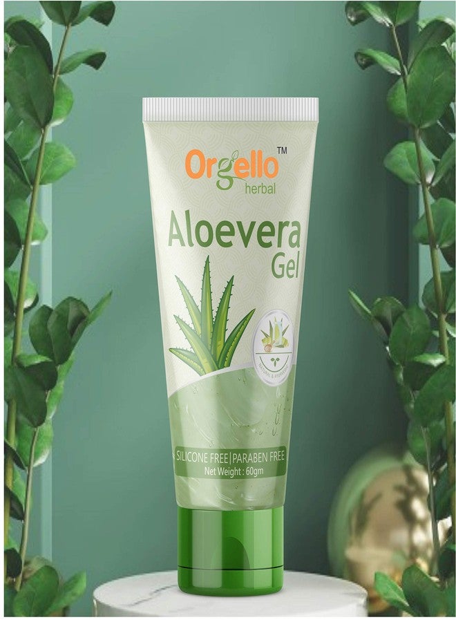 Orgello Herbal Aloe Vera gel for Face and Hair (3 x 60 gm) Pack of 3 I aloe vera massage gel for face I aloe vera gel for hair I aloe vera gel 180g I Paraben & Sulphate Free - Image 2
