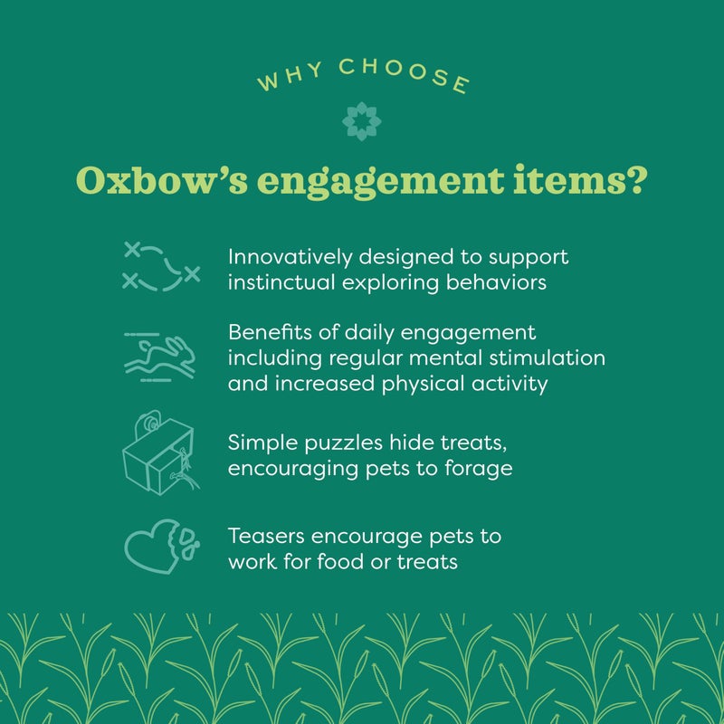 Oxbow Enriched Life Play Wall, Rabbit & Guinea Pig Toy, Enrichment for Bunny, Guinea Pig, Hamster, Rabbit, Chinchilla, Rat, Chinchilla Cage Accessories, Bunny Accessories for Cage, Small - Image 5