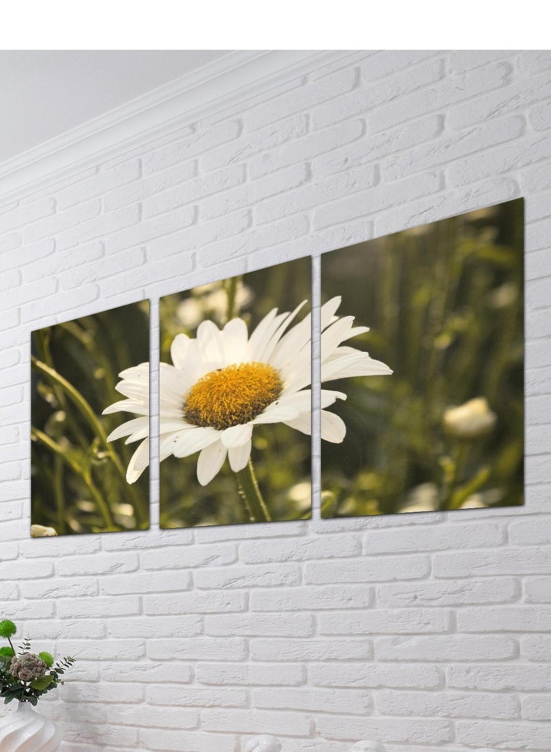 Droplyte Set Of 3 Framed Canvas Flower Wall Arts Stretched Over Wooden Frame Paintings for Home Living Room Office Decor 120cm x 60cm - Image 1