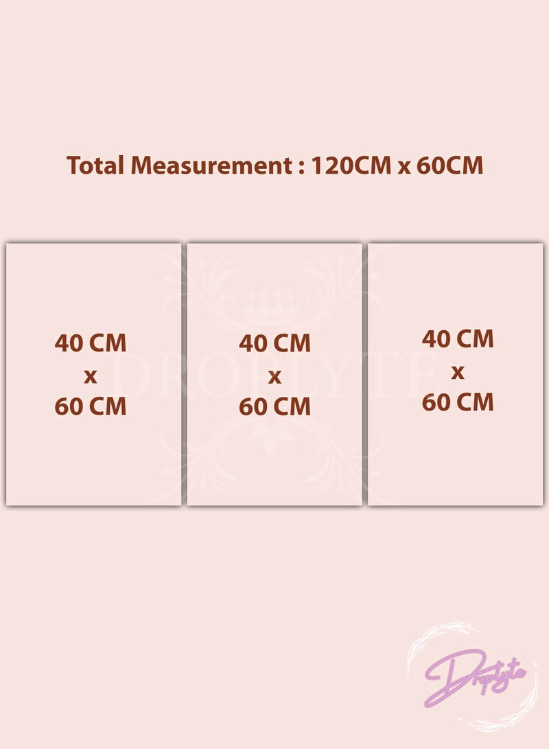 Droplyte Set Of 3 Framed Canvas Flower Wall Arts Stretched Over Wooden Frame Paintings for Home Living Room Office Decor 120cm x 60cm - Image 2