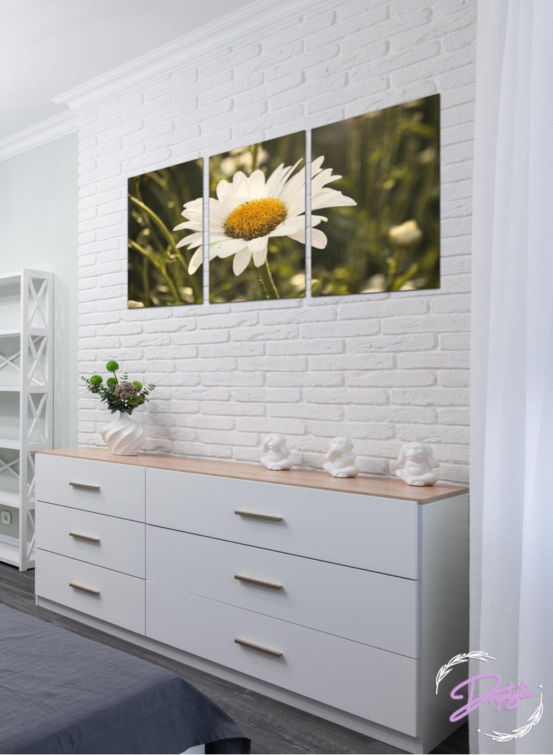 Droplyte Set Of 3 Framed Canvas Flower Wall Arts Stretched Over Wooden Frame Paintings for Home Living Room Office Decor 120cm x 60cm - Image 3