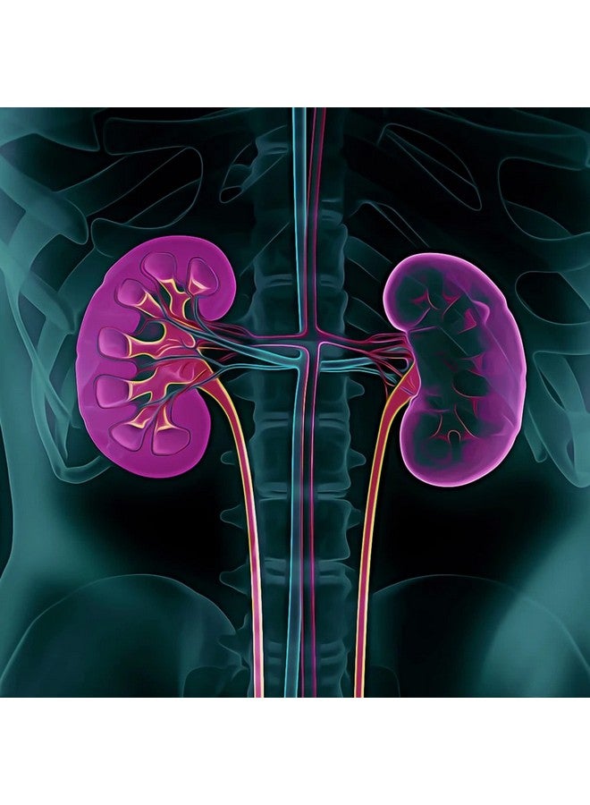 MICHAEL'S Health Naturopathic Programs Kidney Factors - 120 Vegetarian Tablets - Nutrients for Kidney Function - Gluten Free, Kosher - 40 Servings - Image 4