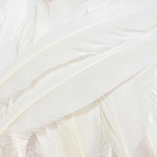 XKTEI White Feathers,Natural Big Long Goose Feather,8-10 inches (20-25cm),Large Size Bilateral Feathers,Left and Right Wings for Crafts,Bulk 12pcs (Natural White) - Image 2