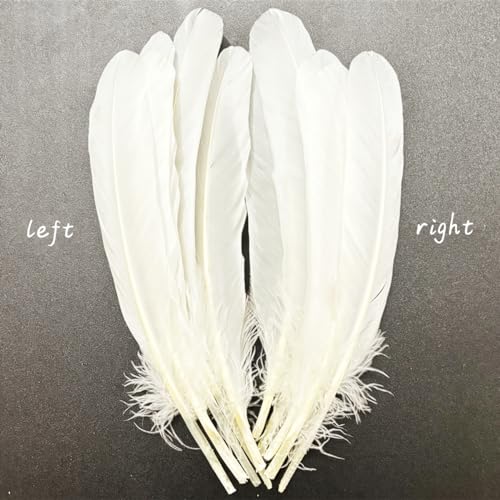 XKTEI White Feathers,Natural Big Long Goose Feather,8-10 inches (20-25cm),Large Size Bilateral Feathers,Left and Right Wings for Crafts,Bulk 12pcs (Natural White) - Image 5