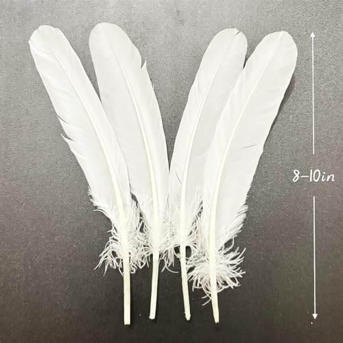 XKTEI White Feathers,Natural Big Long Goose Feather,8-10 inches (20-25cm),Large Size Bilateral Feathers,Left and Right Wings for Crafts,Bulk 12pcs (Natural White) - Image 3