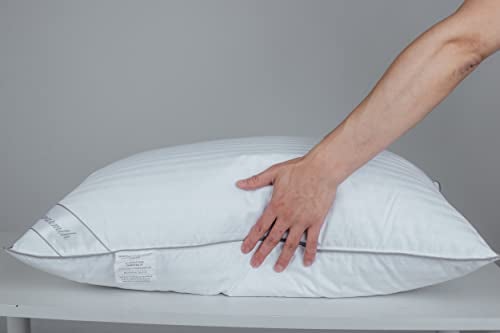 Eastwarmth Goose Feather Down Bed Pillow for Sleeping, Hotel Collection Queen Size Soft Bed Pillow,100% Cotton Cover Queen Size Stripe White 1 Pack - Image 1
