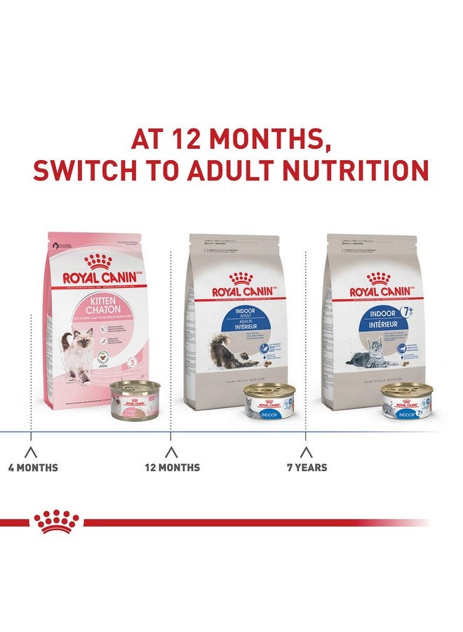 رويال كانين طعام جاف للقطط البالغة للاستخدام الداخلي، 7 رطل. - Image 4