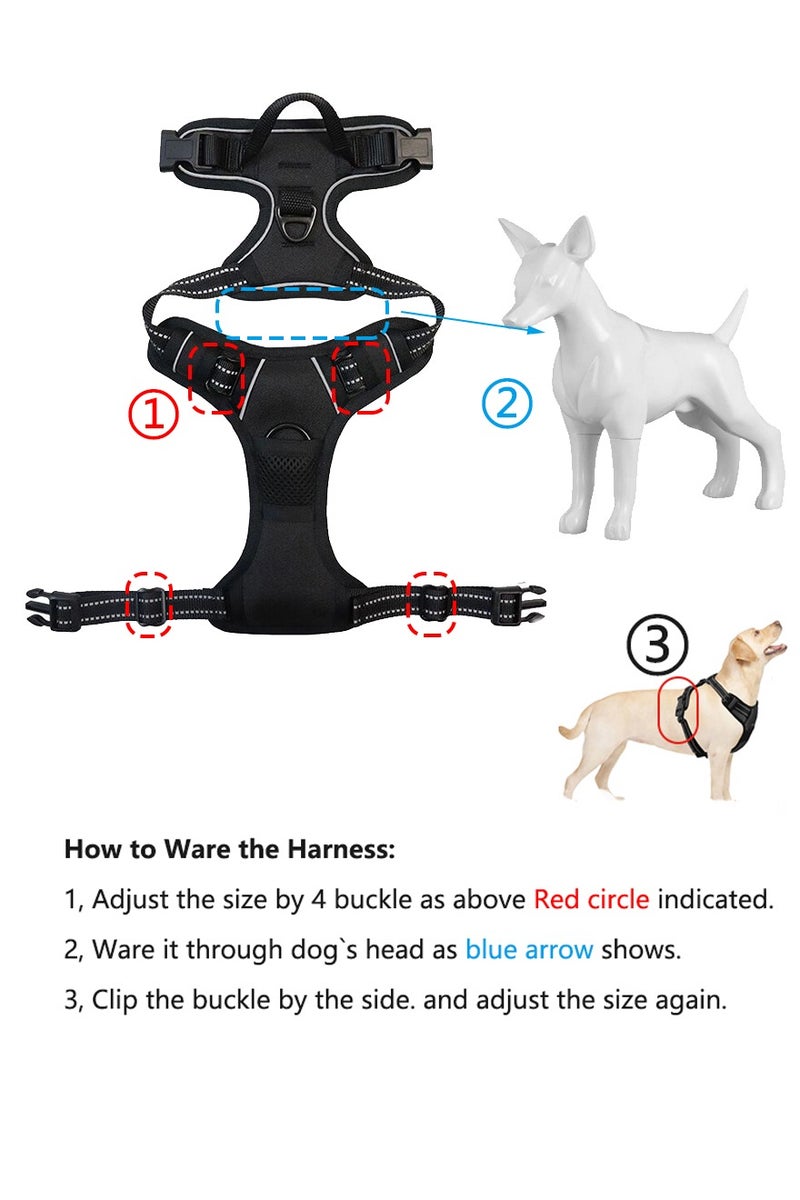 Generic Classic Dog Harness and Soft Padded Leash Set for Small Dogs, No Pull and Chock free, Adjustable with Reflective strip, Breathable and Durable - Image 5