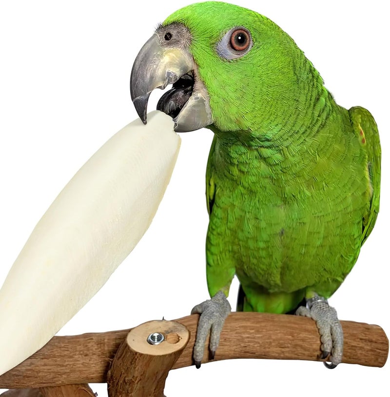 EXCEART 30pcs Bird Cuttlebone Natural Cuddle Bone Bird Beak Stone Beak Grinder Parrot Chew Toys Molar Toy for Parakeets Cockatiel Macaw - Image 2