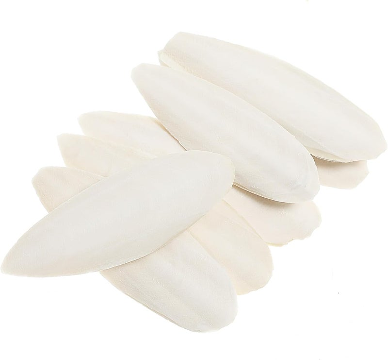 EXCEART 30pcs Bird Cuttlebone Natural Cuddle Bone Bird Beak Stone Beak Grinder Parrot Chew Toys Molar Toy for Parakeets Cockatiel Macaw - Image 1