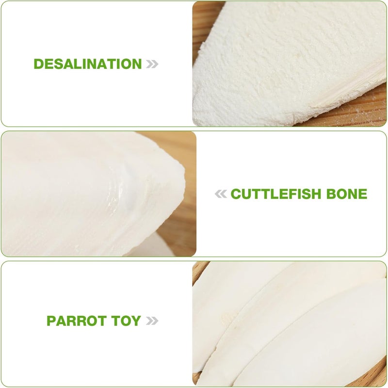 EXCEART 30pcs Bird Cuttlebone Natural Cuddle Bone Bird Beak Stone Beak Grinder Parrot Chew Toys Molar Toy for Parakeets Cockatiel Macaw - Image 4