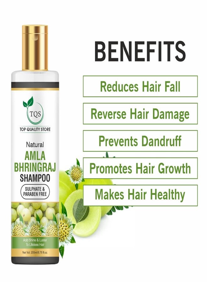 TQS Natural Amla Bhringraj Shampoo, Sulphate & Paraben Free, 200ml, For Shine & Lustre - Image 4