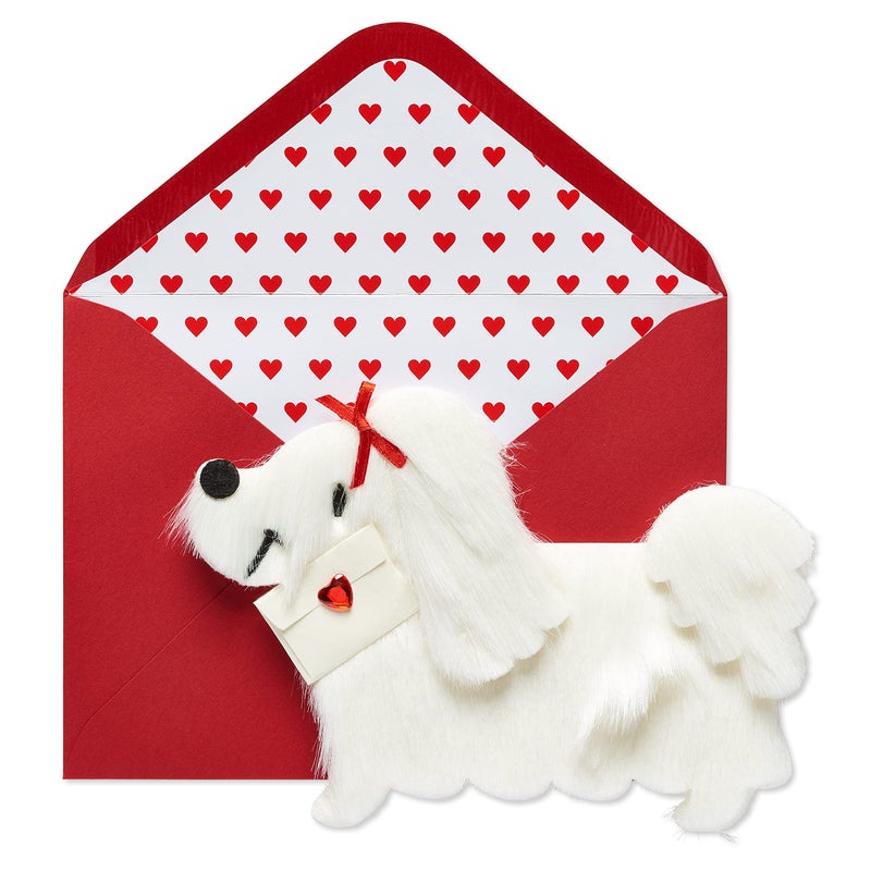 Papyrus Dog Valentines Day Card (Special Delivery) - Image 1
