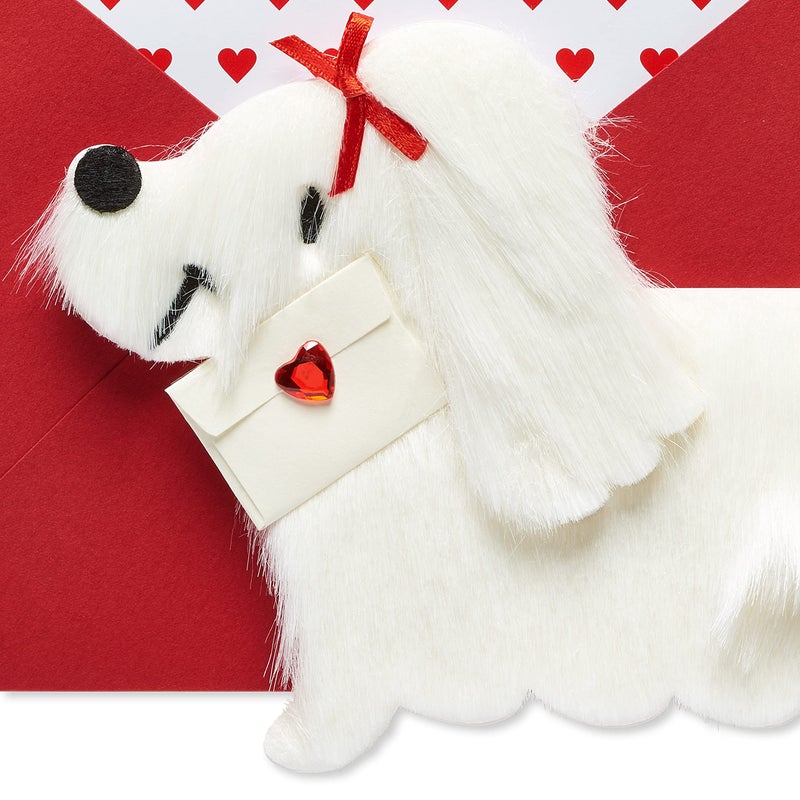 Papyrus Dog Valentines Day Card (Special Delivery) - Image 4