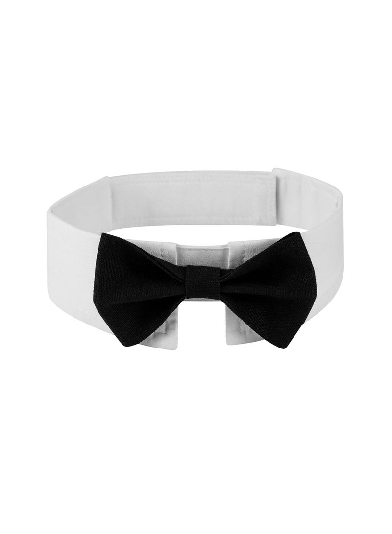 Loquat Pet Bow Tie Collar for Cats  Dogs, Black, S - Image 1