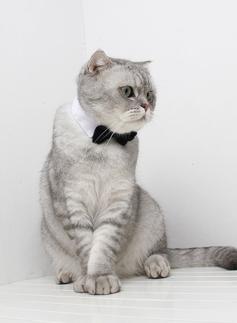 Loquat Pet Bow Tie Collar for Cats  Dogs, Black, S - Image 5