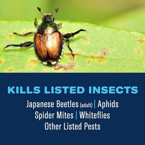 BioAdvanced All-In-One Rose and Flower Plant Care Spray - Insect Control, Disease Control & Plant Mite Killer - Ready-to-Use - Prevents Pests and Diseases - Up to 14 Days Protection - 24 fl oz Bottle - Image 2