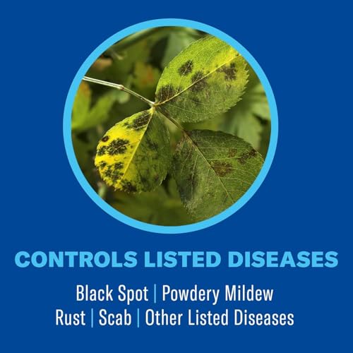 BioAdvanced All-In-One Rose and Flower Plant Care Spray - Insect Control, Disease Control & Plant Mite Killer - Ready-to-Use - Prevents Pests and Diseases - Up to 14 Days Protection - 24 fl oz Bottle - Image 3