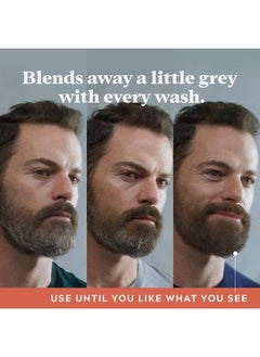 Just For Men Control GX Grey Reducing Beard Wash Shampoo, Gradually Colors Mustache and Beard, Leaves Facial Hair Softer and Fuller, 4 Fl Oz - Pack of 3 (Packaging May Vary) - pzsku/Z70A7E2BA63C304202B18Z/45/_/1691136690/4669f2ad-dc78-4764-8a2e-24038e308572