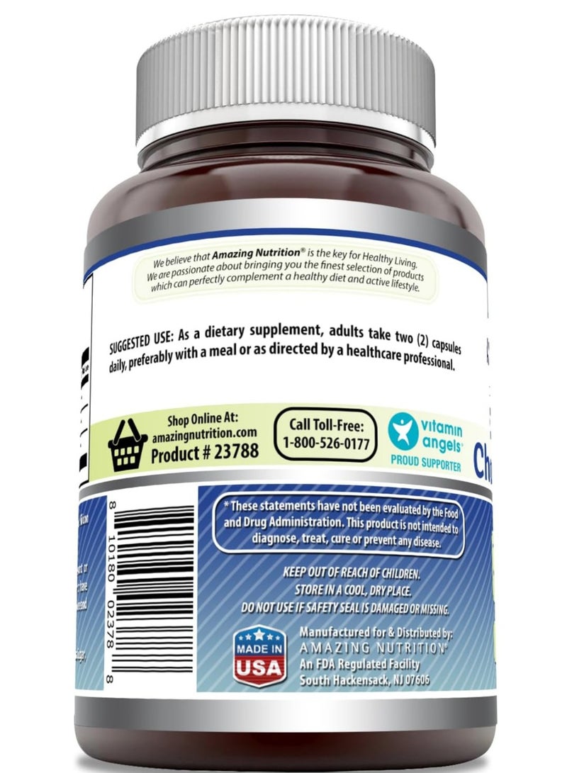 Amazing Nutrition Glucosamine + Chondroitin Plus MSM Supports Healthy Joint, Cartilage and Connective Tissue 240 Caps - Image 3
