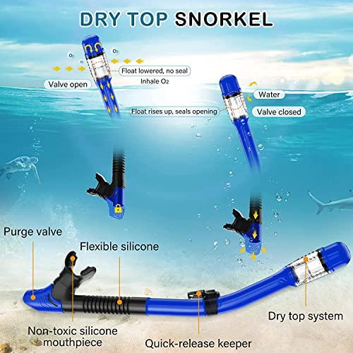 VBM Mask Fin Snorkel Set with Adult Snorkeling Gear, Panoramic View Diving Mask, Trek Fin, Dry Top Snorkel +Travel Bags, Snorkel for Lap Swimming - Image 3