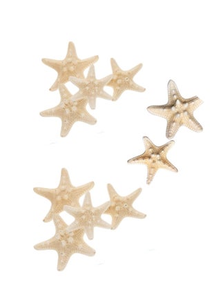 10 PCS Natural Starfish for Crafts Shell Conch Wall Landscaping Decoration Platform Wedding Aquarium Decoration 5~7CM - pzsku/Z70A962A3C72CEE30CF8DZ/45/1742292840/f8b12b37-e527-4354-a661-321a89e6a2df