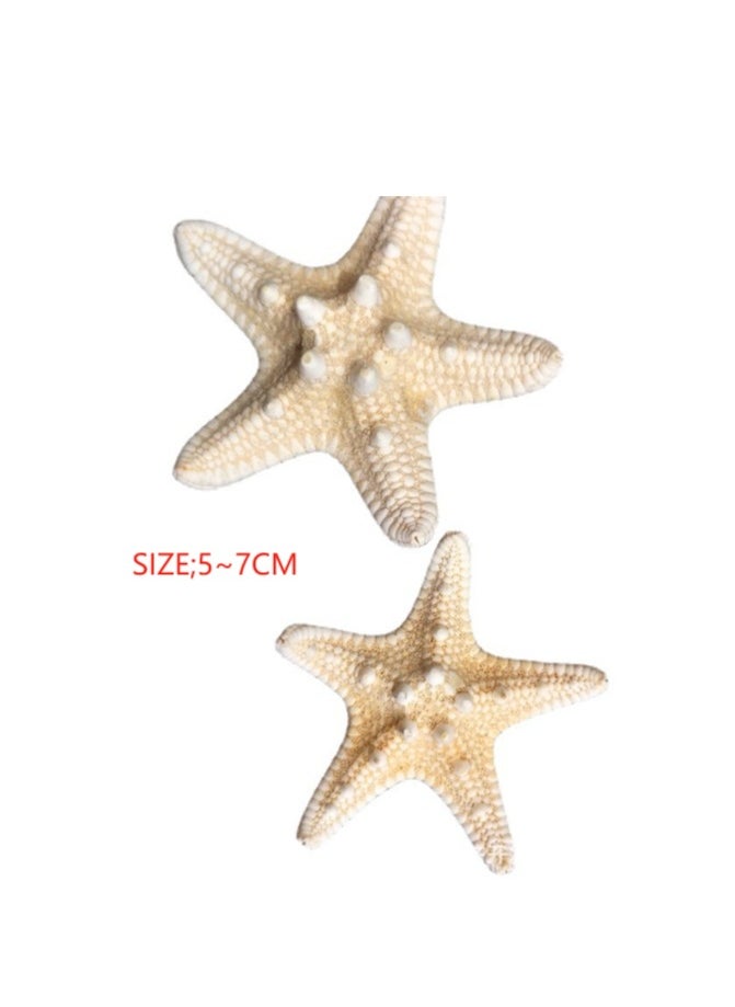 OASIS-TH 10 PCS Natural Starfish for Crafts Shell Conch Wall Landscaping Decoration Platform Wedding Aquarium Decoration 5~7CM  - Image 2