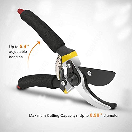 XACTON Garden Shears Sharp Cutter Pruners Scissor with Safety Lock Pruning Seeds I Grip-Handle Flower Cutter I Tree Trimmers Secateurs, Hand Pruner, Stainless Steel Blades, Gardening Tools - Image 2