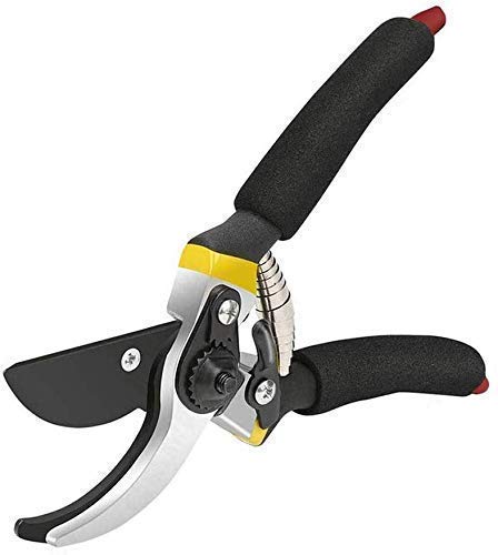 XACTON Garden Shears Sharp Cutter Pruners Scissor with Safety Lock Pruning Seeds I Grip-Handle Flower Cutter I Tree Trimmers Secateurs, Hand Pruner, Stainless Steel Blades, Gardening Tools - Image 1