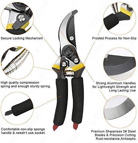 XACTON Garden Shears Sharp Cutter Pruners Scissor with Safety Lock Pruning Seeds I Grip-Handle Flower Cutter I Tree Trimmers Secateurs, Hand Pruner, Stainless Steel Blades, Gardening Tools - Image 3