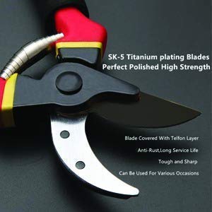XACTON Garden Shears Sharp Cutter Pruners Scissor with Safety Lock Pruning Seeds I Grip-Handle Flower Cutter I Tree Trimmers Secateurs, Hand Pruner, Stainless Steel Blades, Gardening Tools - Image 5