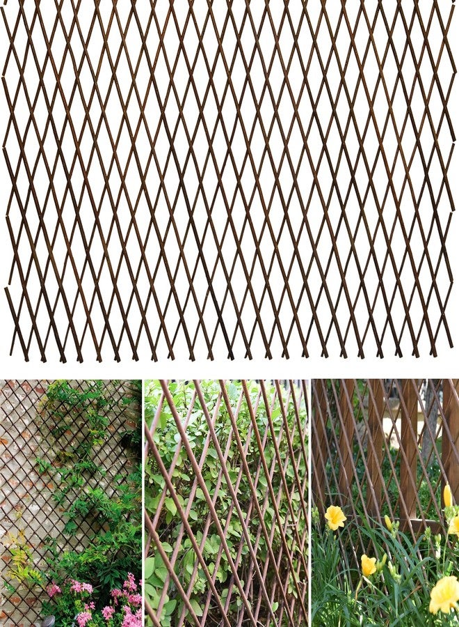86 York Expandable Willow Lattice Fence Panel for Climbing Plants Vine Ivy Rose Cucumbers Clematis (1) - Image 1