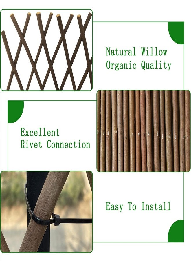 86 York Expandable Willow Lattice Fence Panel for Climbing Plants Vine Ivy Rose Cucumbers Clematis (1) - Image 2