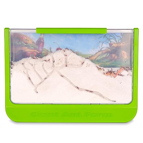 Basic Fun Uncle Milton Giant Ant Farm - Large Viewing Area - Care for Live Ants - Nature Learning Toy - Science DIY Toy Kit - Great Gift for Boys & Girls, Green - Image 4