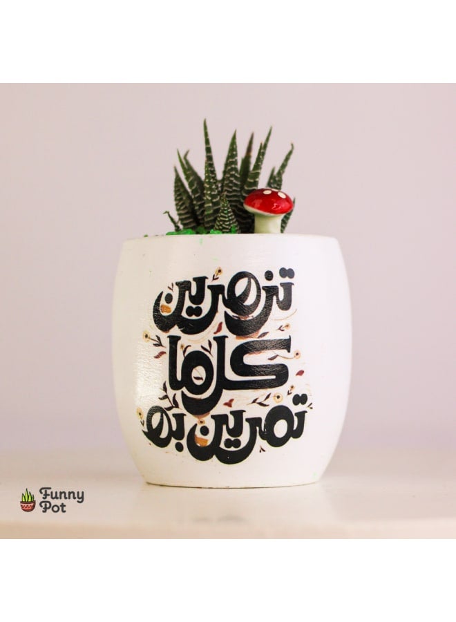 بوت صبار طبيعي