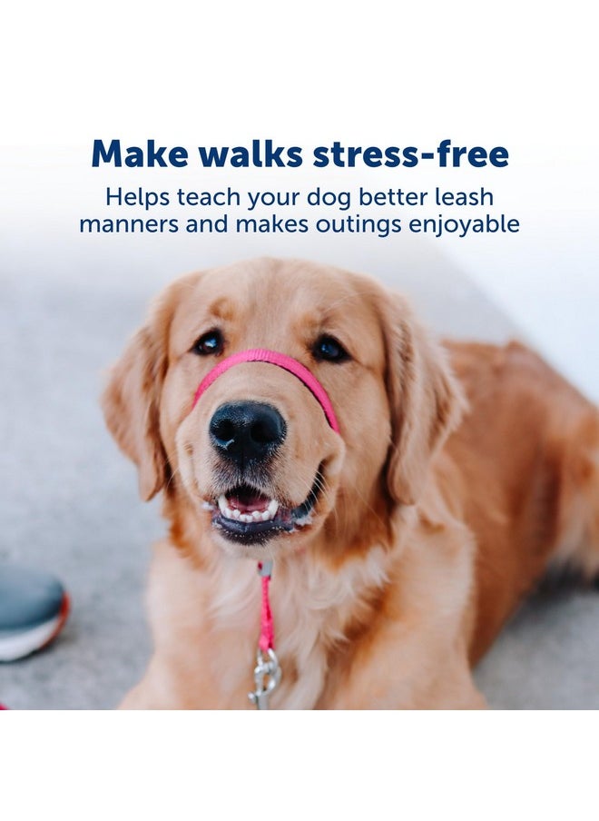 بيت سيف طوق رأس الكلب اللطيف من PetSafe No-Pull - الحل الأمثل للسحب - يحول اتجاه سحب كلبك لتسهيل المشي - يساعدك على استعادة السيطرة - كبير، وردي توت العليق  - Image 4
