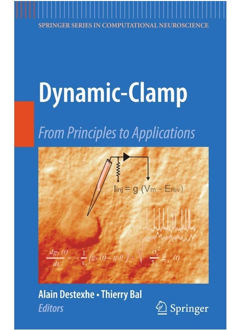 Dynamic-Clamp: From Principles to Applications
