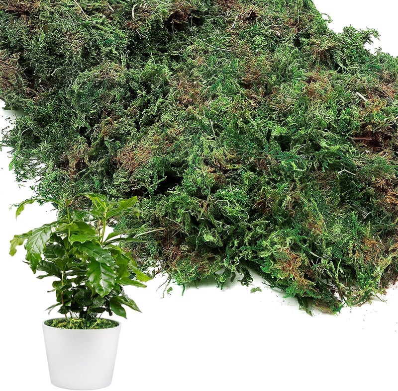 Alphatool Fake Moss for Crafts- 10 OZ Artificial Moss for Potted Plants, Natural Moss for Fake Plants Indoor Micro-Landscape Terrarium Decor, Forest Moss for Hamsters - Image 1