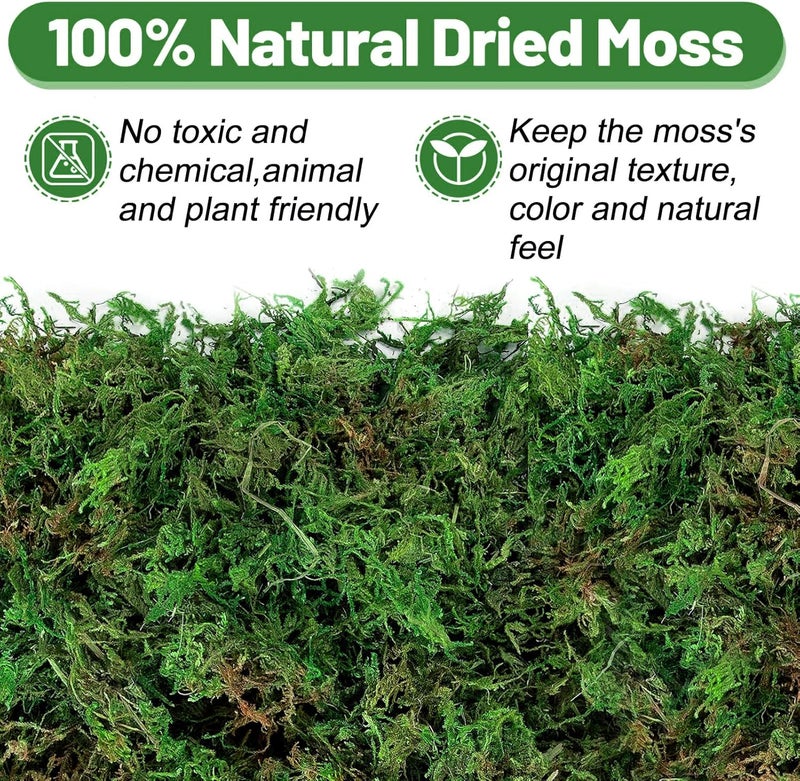 Alphatool Fake Moss for Crafts- 10 OZ Artificial Moss for Potted Plants, Natural Moss for Fake Plants Indoor Micro-Landscape Terrarium Decor, Forest Moss for Hamsters - Image 2