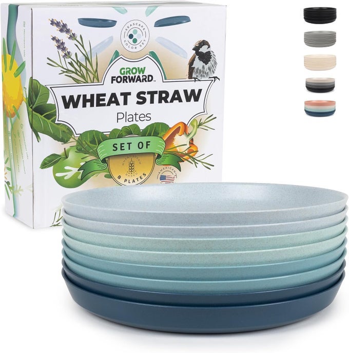 PREMIUM WHEAT STRAW PLATES 10 INCH REUSABLE HARD PLASTIC DINNER PLATES SET OF 8 UNBREAKABLE MICROWAVE SAFE PLATES FOR DESSERT CAMPING RV OUTDOORS PATIO KITCHEN DISHES SEASCAPE