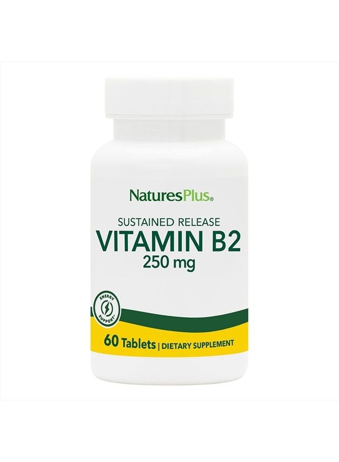 Nature's Plus NaturesPlus Vitamin B2 (Riboflavin) - 250 mg, 60 Vegetarian Tablets, Sustained Release - Natural Energy & Metabolism Booster, Promotes Overall Health - Gluten-Free - 60 Servings - Image 1