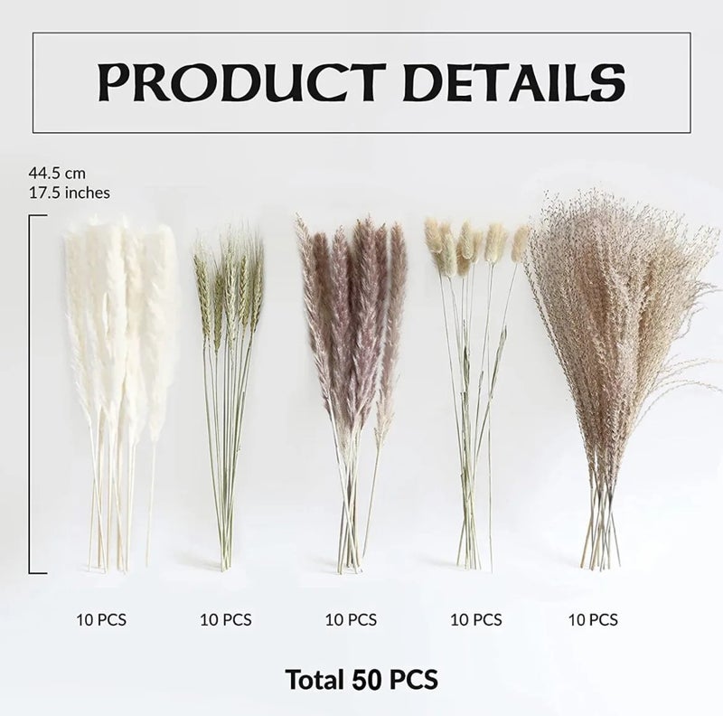 Y&D Fluffy Pampas Grass Dried Flowers Bouquet - Natural Bunny Tail Dried Plants Arrangement - Wedding Party Home Decor Centerpiece - Image 4
