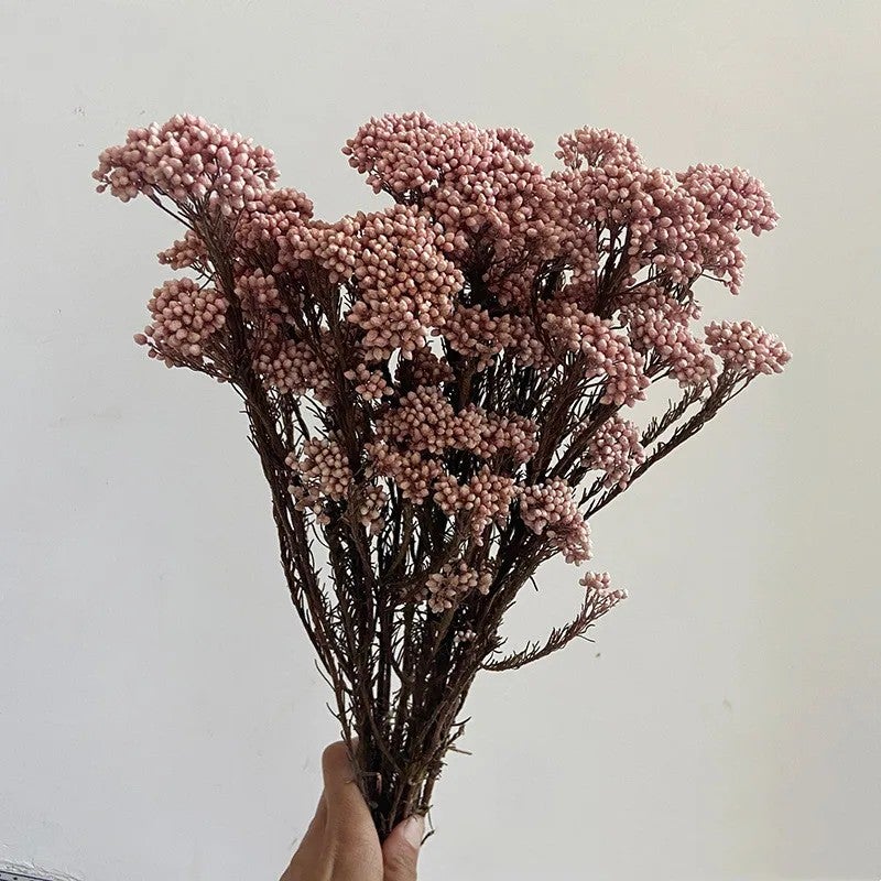 Bluejw High Quality Real Touch Mini Rice Flower Dried Preserved Flower Bouquet - Natural Dried Plants Stems Eternal Home Decor - Image 1