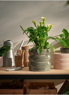 Generic HASSELBUKETT Plant pot, in/outdoor/green/brown, 15 cm  - Image 2