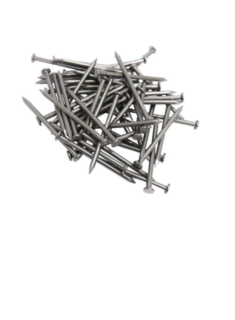High Strength Round Head Nails For Carpentry Hardware Electrical Etc (300, 2 inch) - Image 3