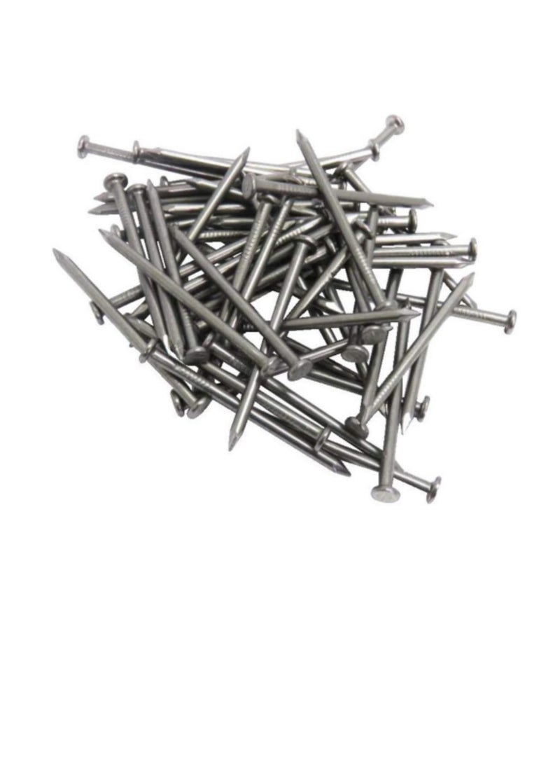 High Strength Round Head Nails For Carpentry Hardware Electrical Etc (300, 2 inch) - Image 1