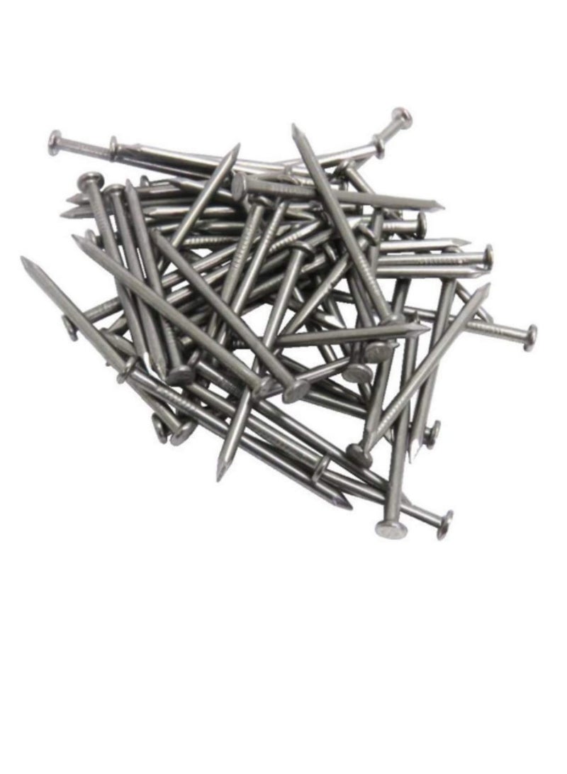 High Strength Round Head Nails For Carpentry Hardware Electrical Etc (300, 2 inch) - Image 2